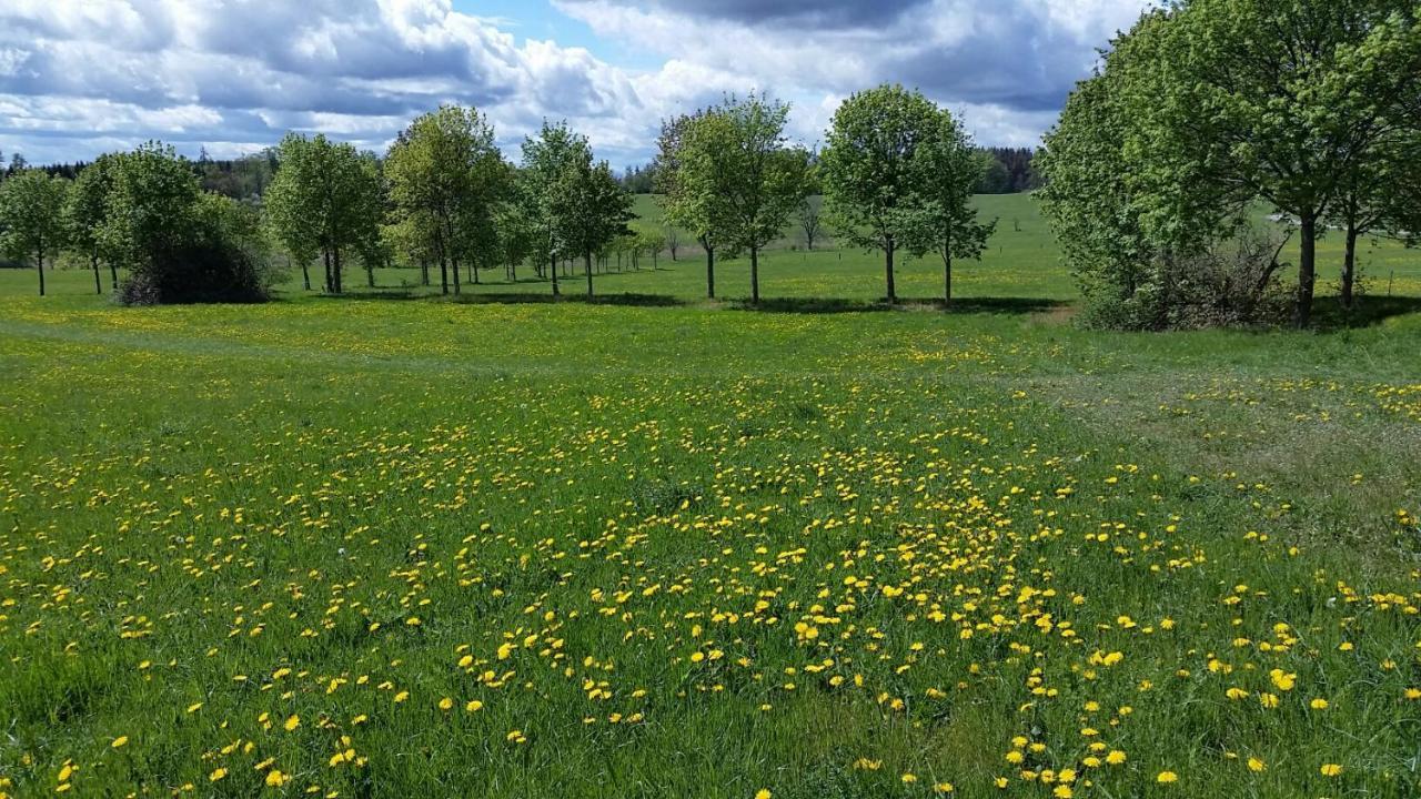 Harzquartier Apartment Friedrichsbrunn Luaran gambar