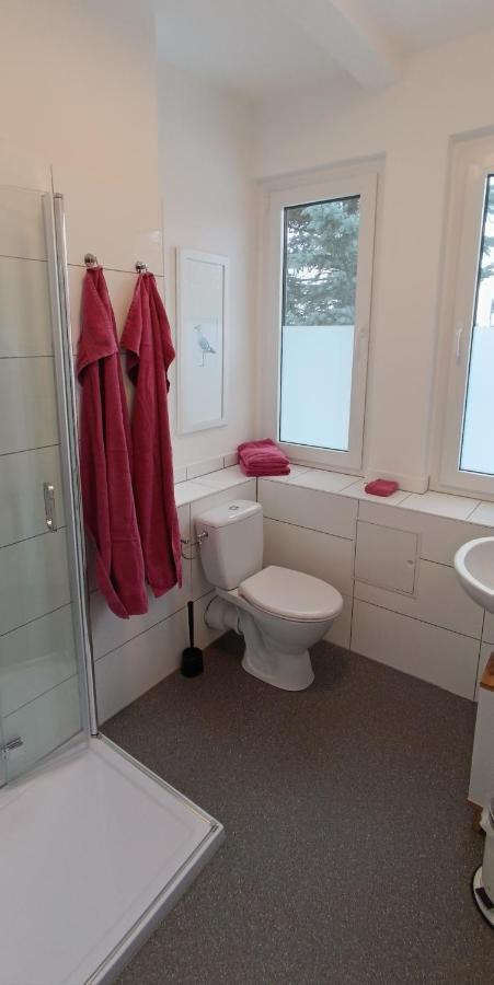 Harzquartier Apartment Friedrichsbrunn Luaran gambar